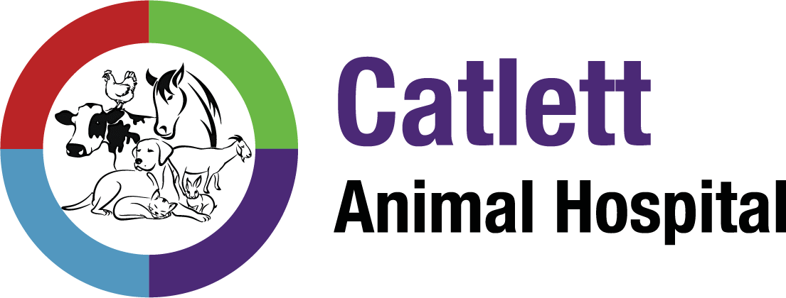 Catlett Animal Hospital