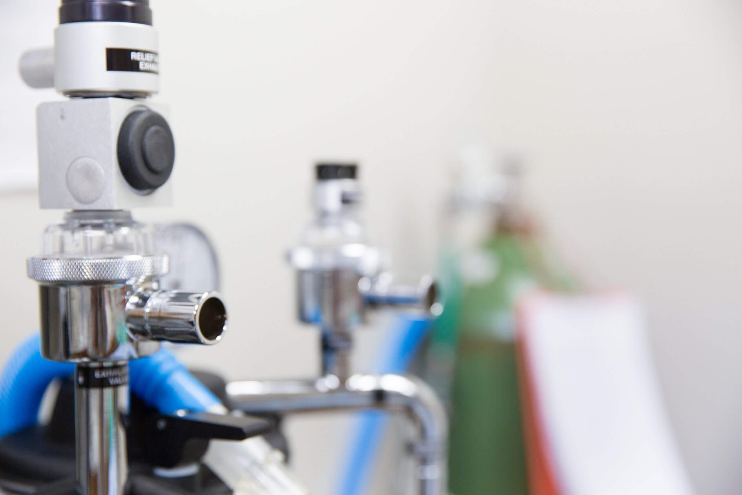 Surgery Services Catlett Animal Hospital