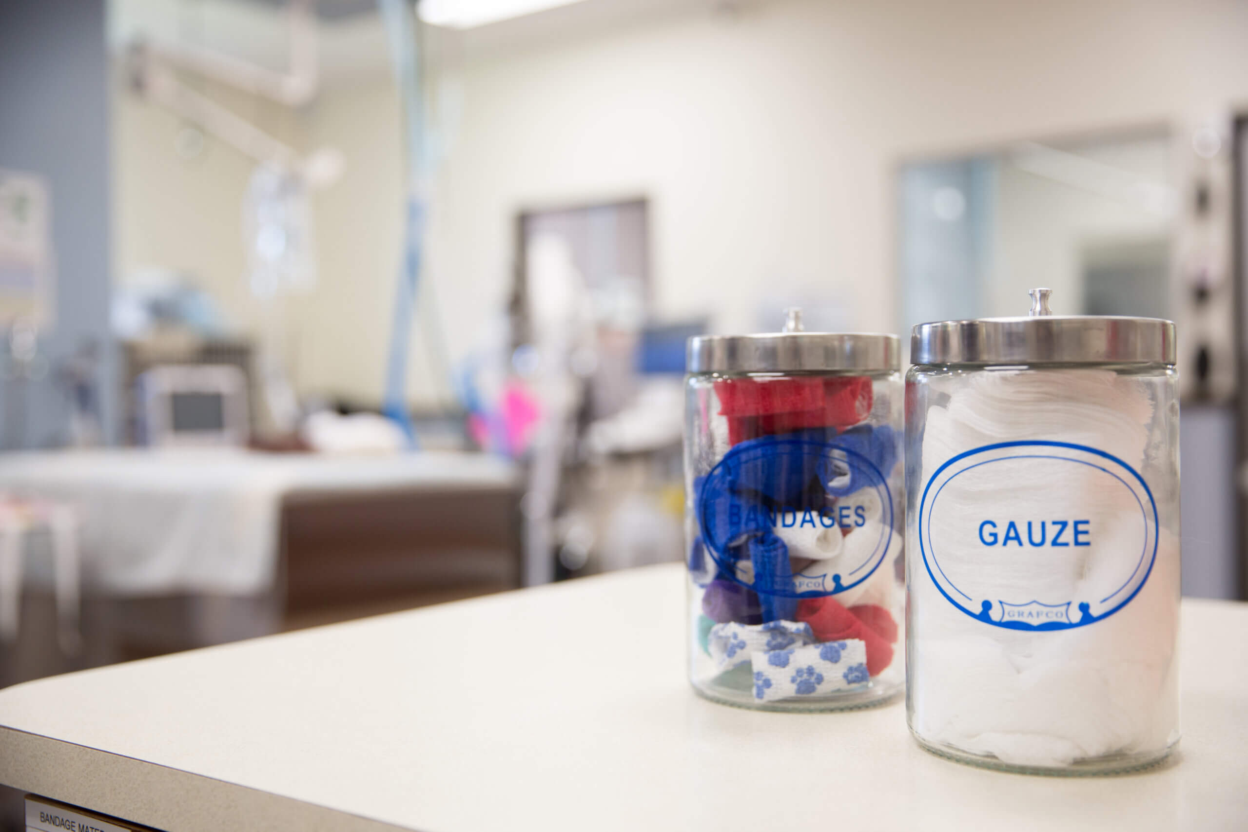 Diagnostic Care Catlett Animal Hospital